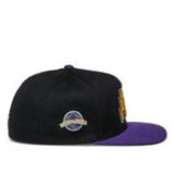 FRANCHISE HAT BLACK / PURPLE (1039)