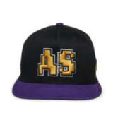 FRANCHISE HAT BLACK / PURPLE (1039)