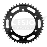 Sprocket Rear 532-43T Steel - 50-27002-43