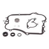 Water Pump Rebuild Kit 8210008