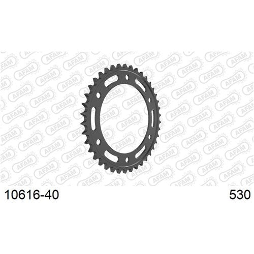 AFAM S40 530 CBR900 + VTR SP1