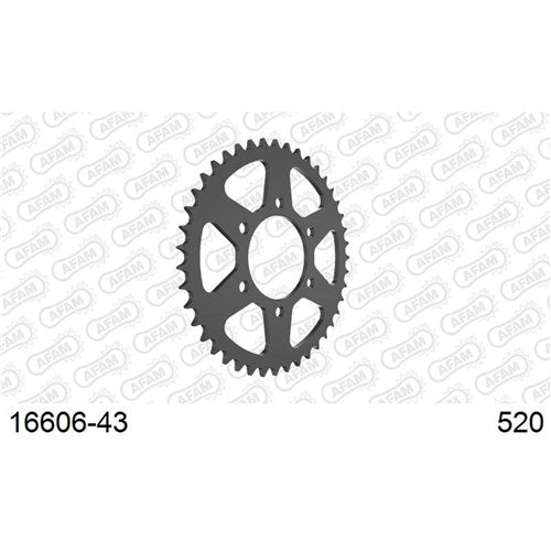 AFAM S43 520 ZX6/ER6 05>