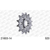 AFAM 14T R-6 99-06 520 CONV