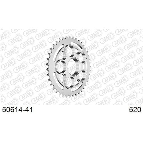 AFAM S41 520 MONST 800 S2R