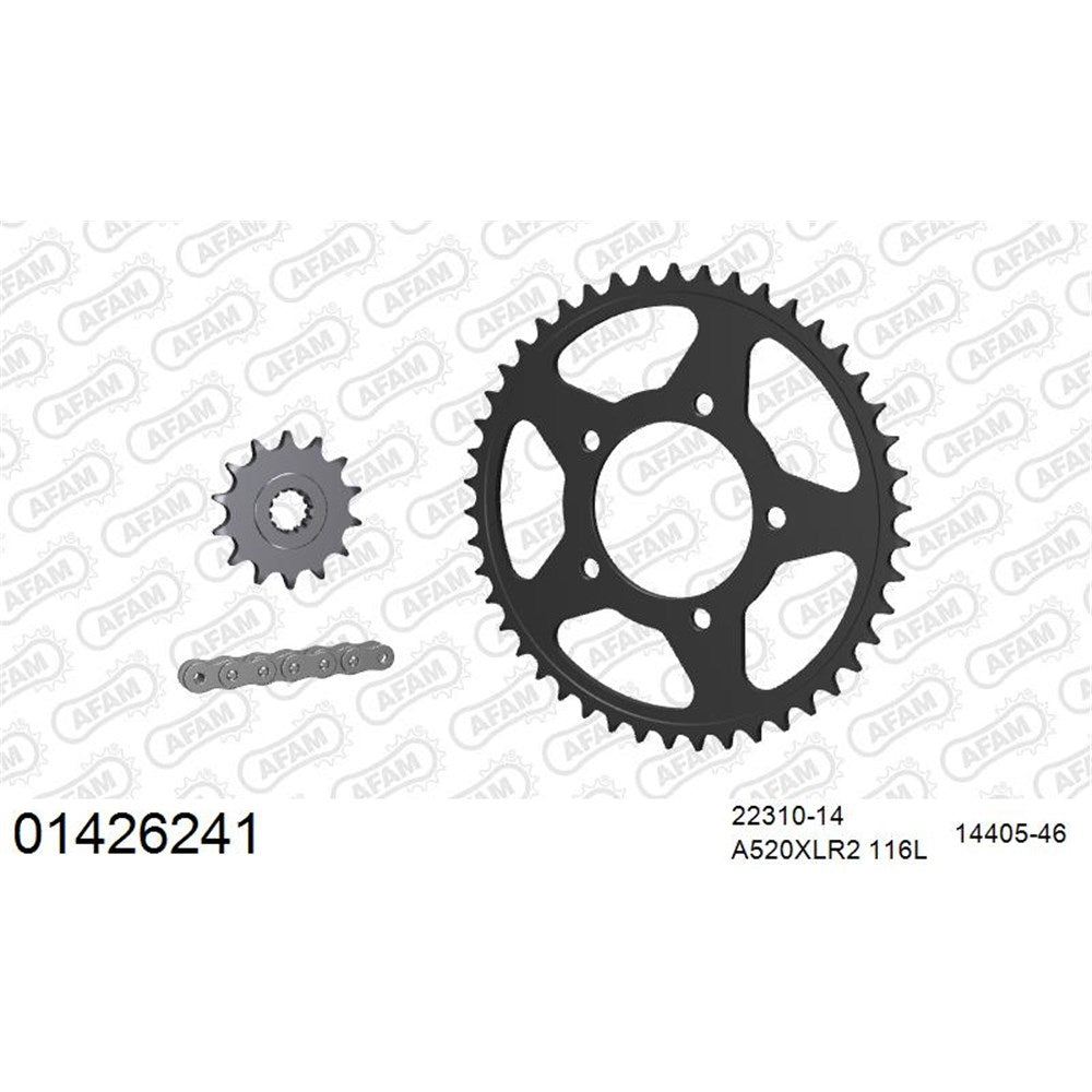AFAM Chain Sprocket Kit Steel Suzuki GW 250 Inazuma 2013-2015