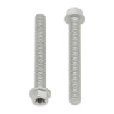 Bolt Euro Torx 6x20mm Flange Bolt (Packet of 10) Refill