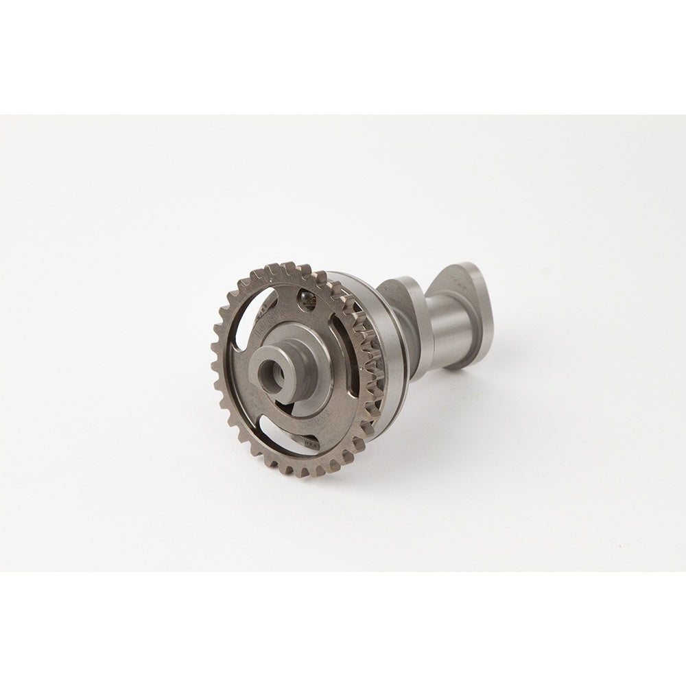 Camshafts KAW KX250F 04-10 Stage 1: Dual cam engine. Intake and exhaust cams sold separately. Good midrange and top-end increase.