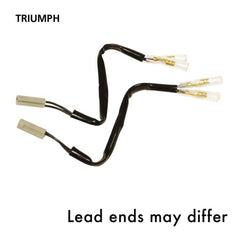 Oxford Indicator Leads Triumph