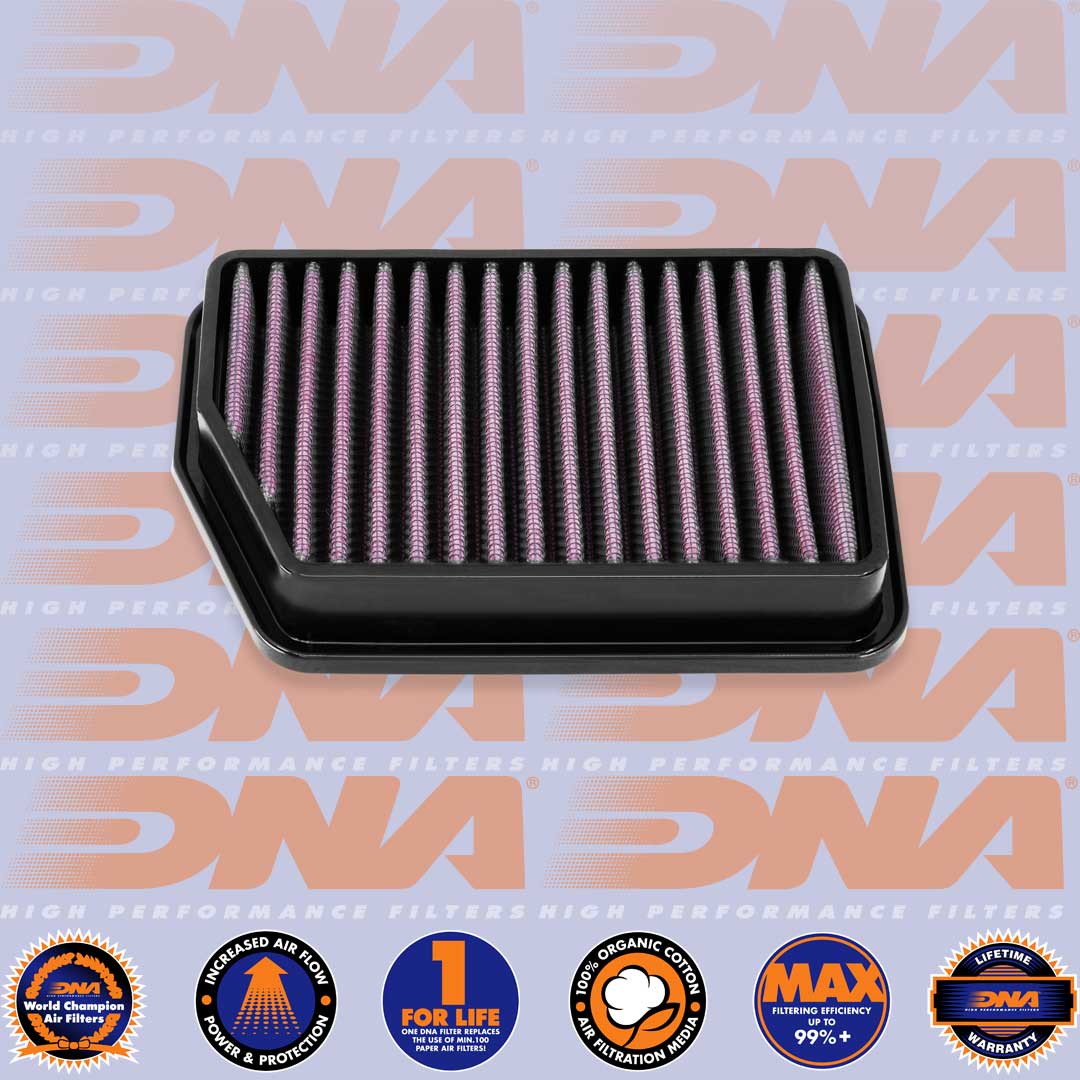 GB 350 24-25 - DNA AIR FILTER - P-H35N25-01
