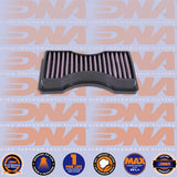 1050 - V100 MANDELLO 22-24 & STELVIO 24- DNA AIR FILTER - P-MG10GT23-01