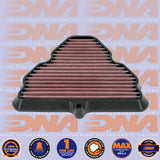 1200 TIGER ALL VARIANTS 22-25 - DNA AIR FILTER - P-TR12E22-01