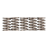 Premier Clutch Springs - Heavy Duty