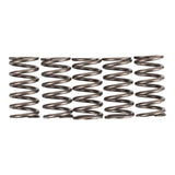 Premier Clutch Springs - Heavy Duty