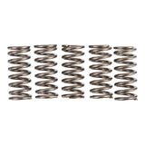Premier Clutch Springs - Heavy Duty