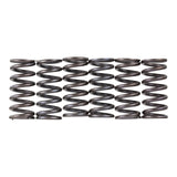Premier Clutch Springs - Heavy Duty