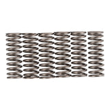 Premier Clutch Springs - Heavy Duty
