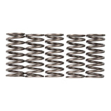 Premier Clutch Springs - Heavy Duty