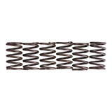 Premier Clutch Springs - Heavy Duty