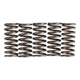 Premier Clutch Springs - Heavy Duty
