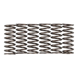 Premier Clutch Springs - Heavy Duty