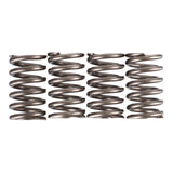 Premier Clutch Springs - Heavy Duty