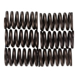 Premier Clutch Springs - Heavy Duty
