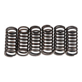Premier Clutch Springs - Heavy Duty