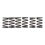 Premier Clutch Springs - Heavy Duty
