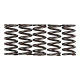 Premier Clutch Springs - Heavy Duty