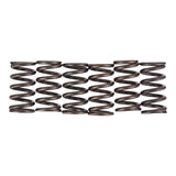 Premier Clutch Springs - Heavy Duty