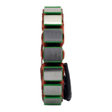 RM Stator Assorted Pol Models '21-2'3 (Refer to Fitments) (RMS010-107775)