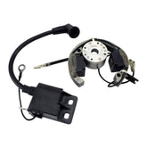 Stator + Rotor + Ignition Coil Kit (RMS900-107608)