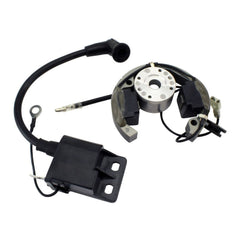 Stator + Rotor + Ignition Coil Kit (RMS900-107608)