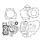 Complete Gasket Set with Oil Seals 8110032