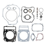 Complete Gasket Set with Oil Seals - VER8110051