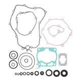 Complete Gasket Set with Oil Seals 8110054