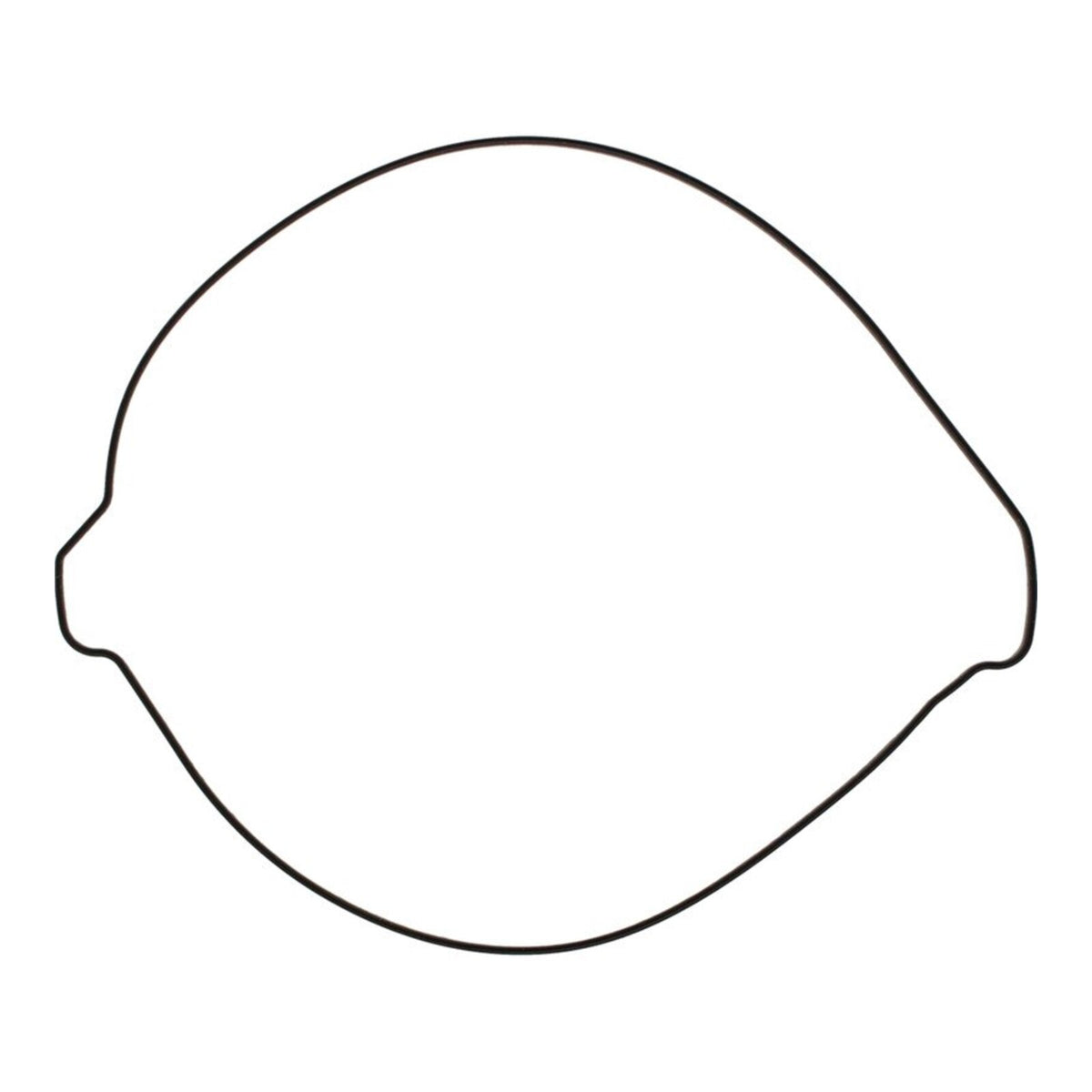 Outer Clutch Gasket Kit 819267