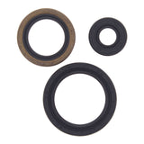 Oil Seal Kit 822143