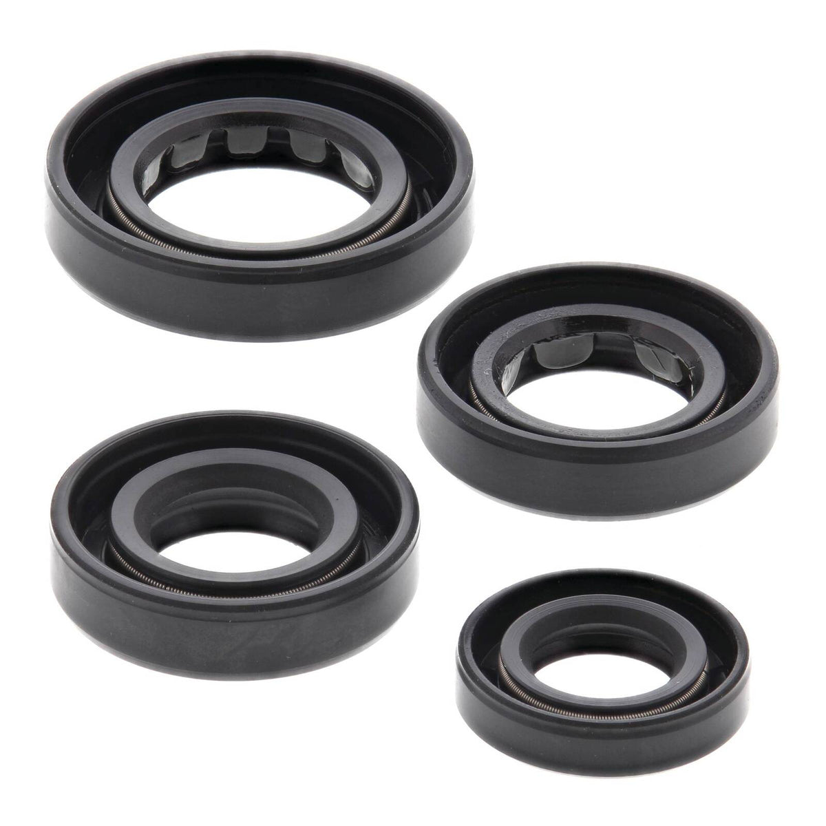Oil Seal Kit 822179