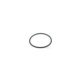 #ZODIAC R/MENT VITON O-RING SEAL (FOR Z120243/Z120244)