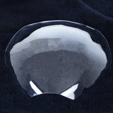 Headlight Shield, Ducati Monster 797