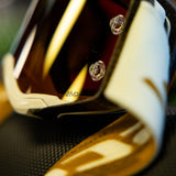 SCOTT Goggle Prospect Pro Circuit AMP bge/brn/gold chm wrks