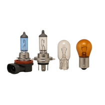 Bulbs