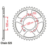 42T Aprilia 1000 RSV Rear Sprocket (702)