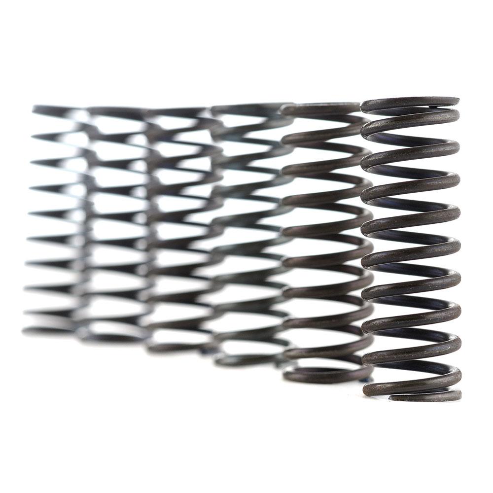 FERODO CLUTCH SPRING SET - FSS0522 [XSP]  [NEW 2001]