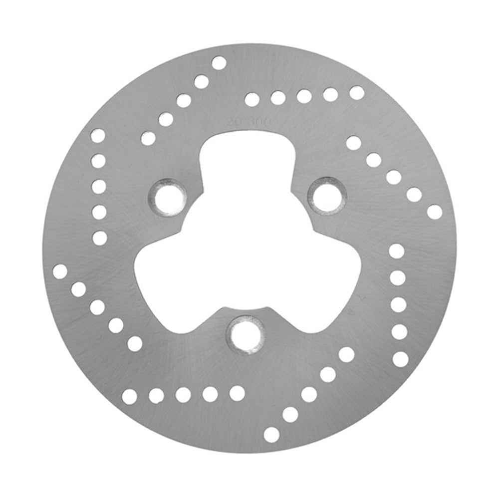 Brake Disc Rotor - 20-300