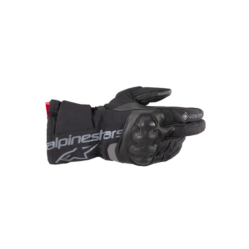 WT4 GORETEX INSULATED GLOVES BLACK (0010)