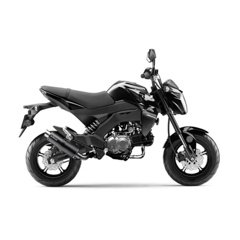 ###_SUPERSEDED_BY_ LVFS3394MU_### | LV FULL SYST | GP CORSA | MATTE CARBON | Z 125 PRO '17>