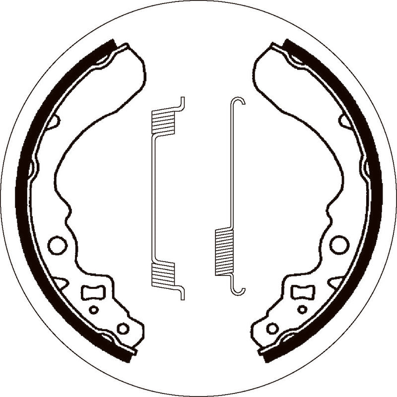 SBS 2053 BRAKE SHOES | WITH SPRINGS
