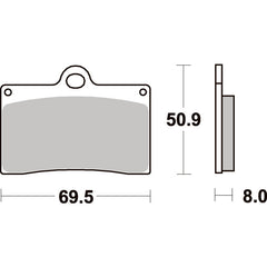 SBS 566DC FRONT PADS | DUAL CARBON RACE (RACE USE ONLY)